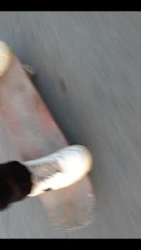 3505406015