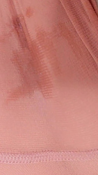 4503619