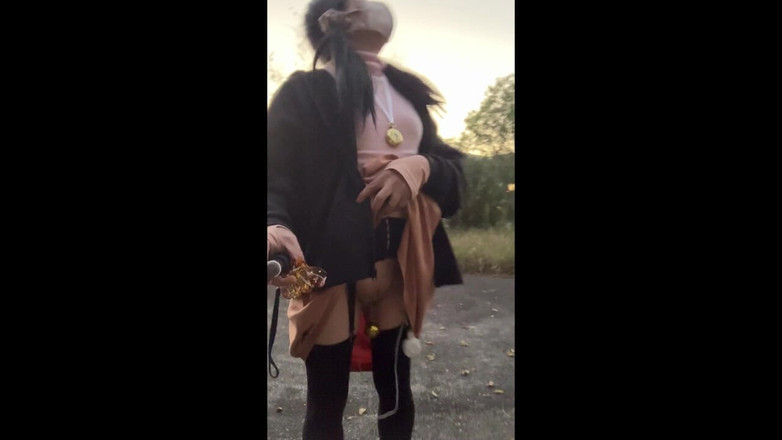 megu2002: Antrenament independent nr. 22 expunere plimbare de-a lungul drumului la amurg