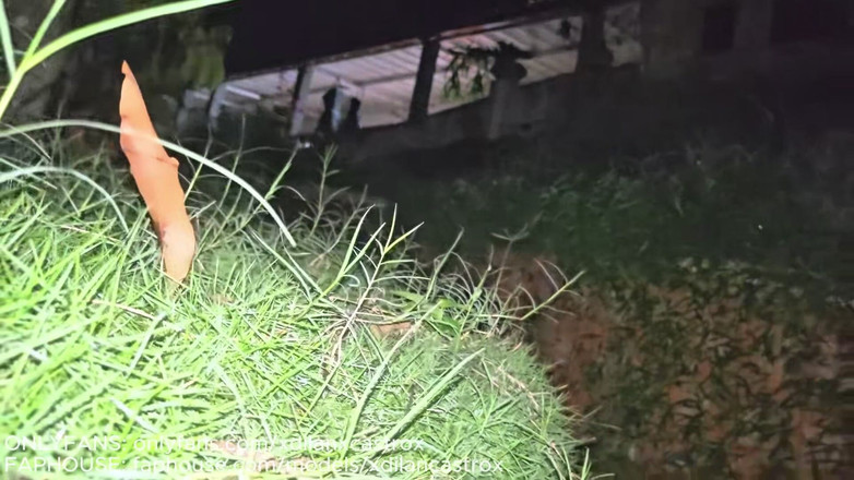 Dilan Castro: Podróżując Publicznie Bez Opuszczonego Domu Z Drwalem