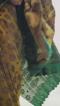 Me in Gree Part 1 Love Green Saree Book Your Show Today