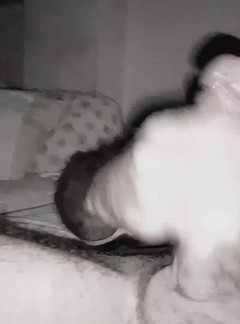 Alicante Wild: Hraní s mým ptákem. Vychutnat