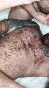 Beefy Bears 4way (btrucker77 Edition)