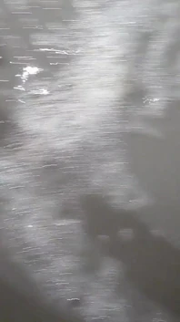 Beach Feet Covered in Wet Sand