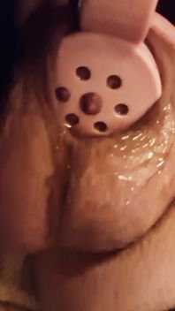Wet Tiny Clitty Locked in Chasity Cage