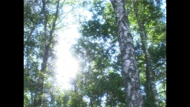 69 Italian District: Lusso anale (film porno completo)