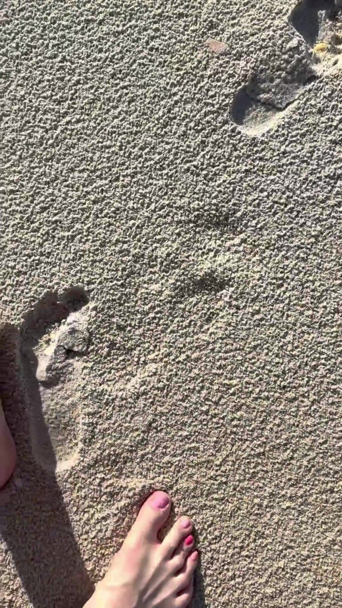 Peppermint Giantess: 16 feet boyutunu plajda kum baskılarıyla karşılaştırıyor