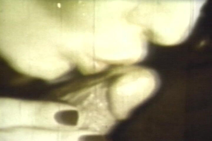 Lovers Of Vintage: Sepia Vintage Cum Sluts Share Loads in Retro 8-minute Orgy