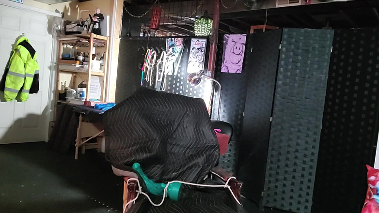 City hog: Eddie è un maiale