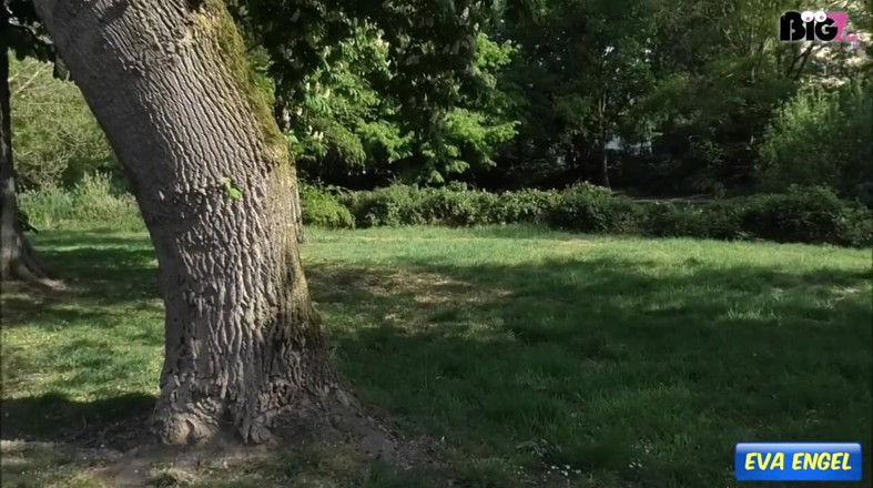 Eva Engel: Risky Blowjob in the Park