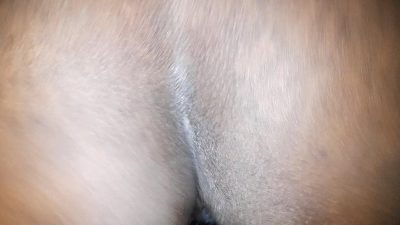 BMCs: 자지를 참을 수 없는 개처럼 나를 따먹어 쾌락의 모리아