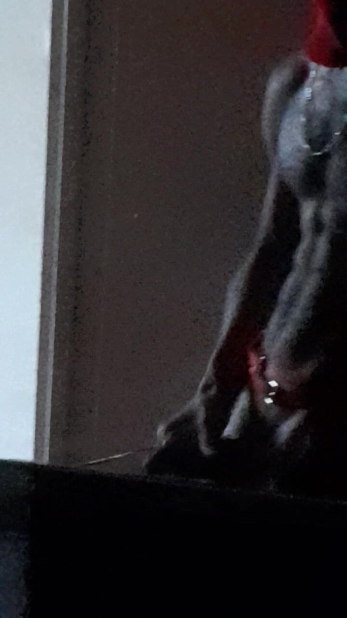 Dorian DomTop: Veado de natal com tesão começou a se masturbar