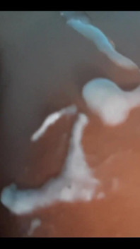 I Love the Milk After Nap
