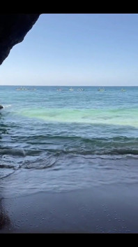 I Just Paddle Board