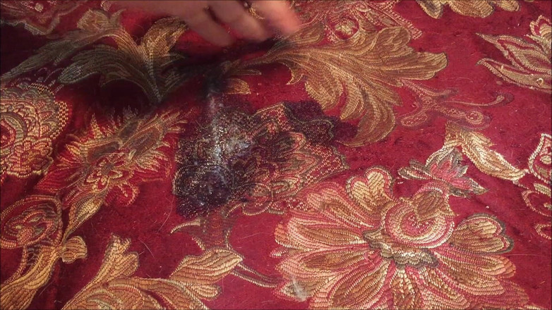 Sarah Passions: Lodowa sperma