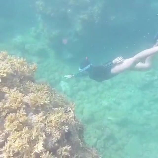 creamberryfairy: Ima Mermaid