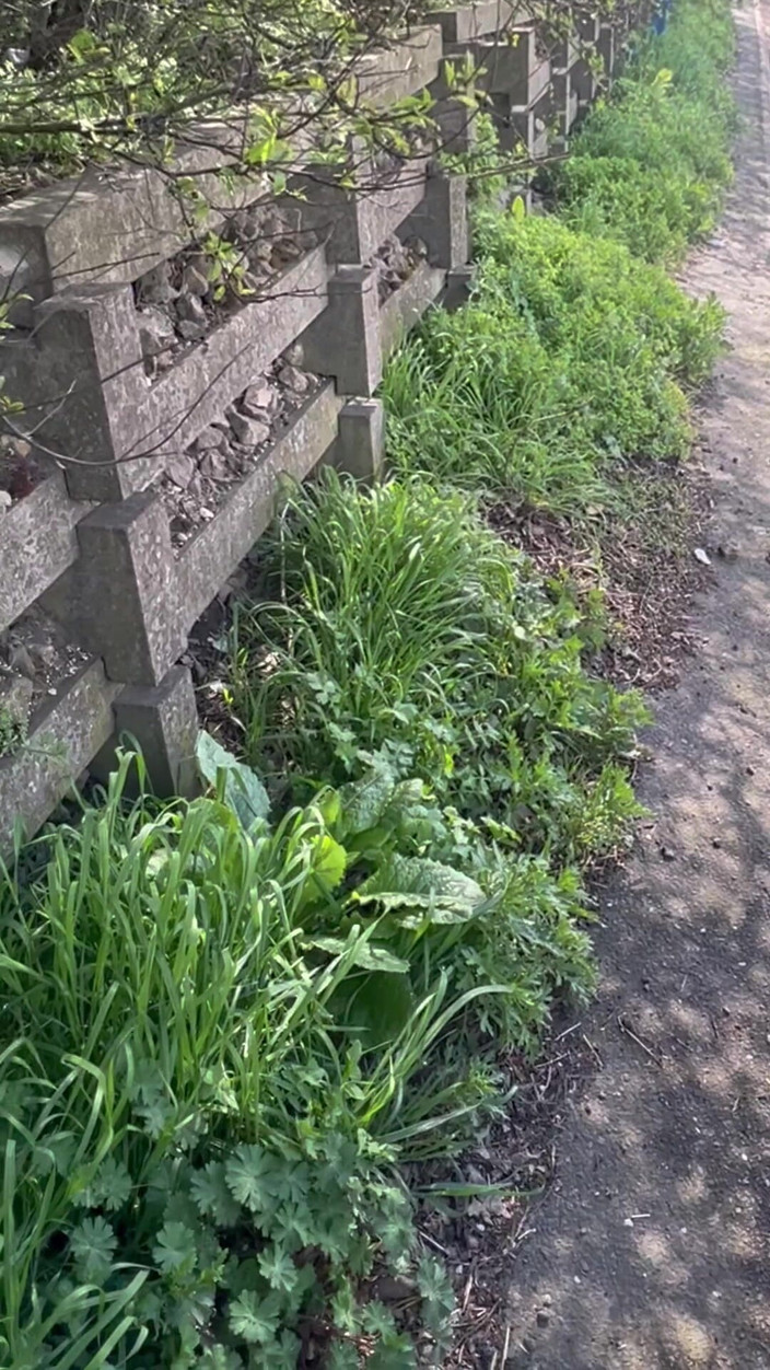 Hot dick in your ass: Kompilasi aku lagi kencing lama di taman umum