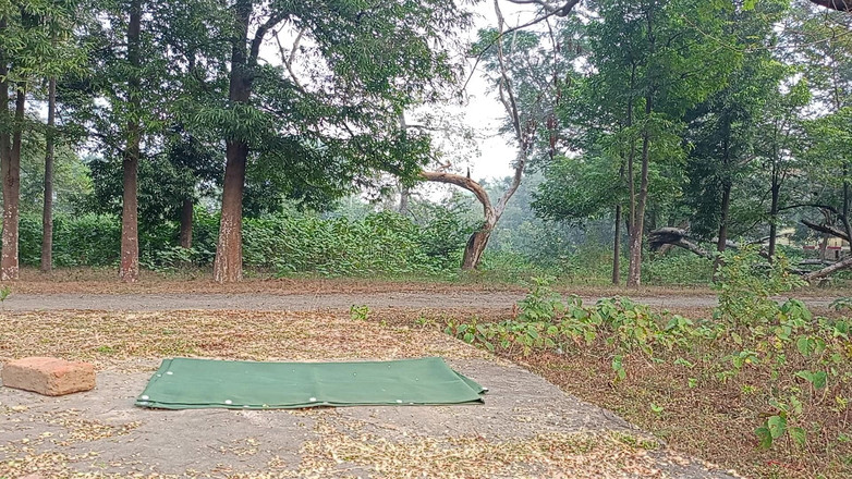 LinearOrnament35: Sex Step Workout Sex Time Long Tablet