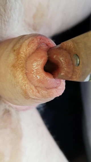 Aşırı sesler (içine girmediği sürece izleme)