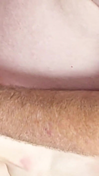 털이 무성한 보지, 젖탱이, 젖탱이