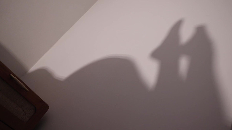 Countess diamond: Worship My Shadow - My Pleasure, Your Denial