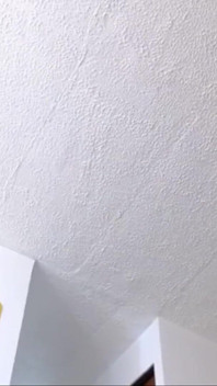 Ass Sex, Petite Webcam Penetration