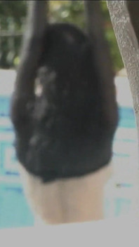 Jenya D.