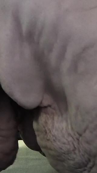 Thumbnail of Pissing in the Woods Got Her Fucked Really Good That Ass Is Mine