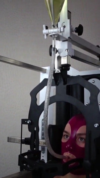 女主人的女奴隶 第2部分