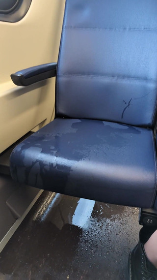 Thumbnail of Pissing and Squirting in a Busy Train During the Day