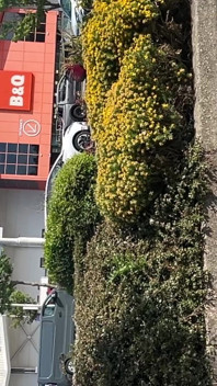 물에 질싸할 준비가 된 워밍업