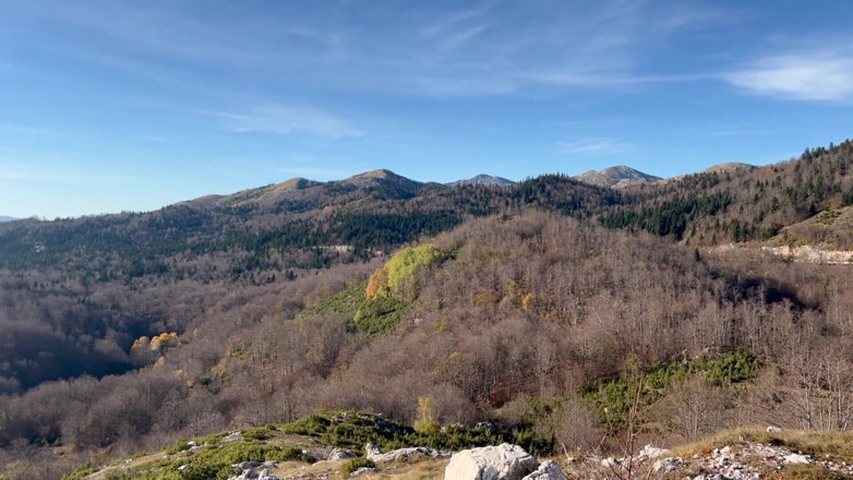 Vilu_and_Mi: Pompino in viaggio. Vilu Vidish