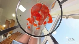 I miei piedi in nylon spremendo il succo di fragola su un tavolo di vetro