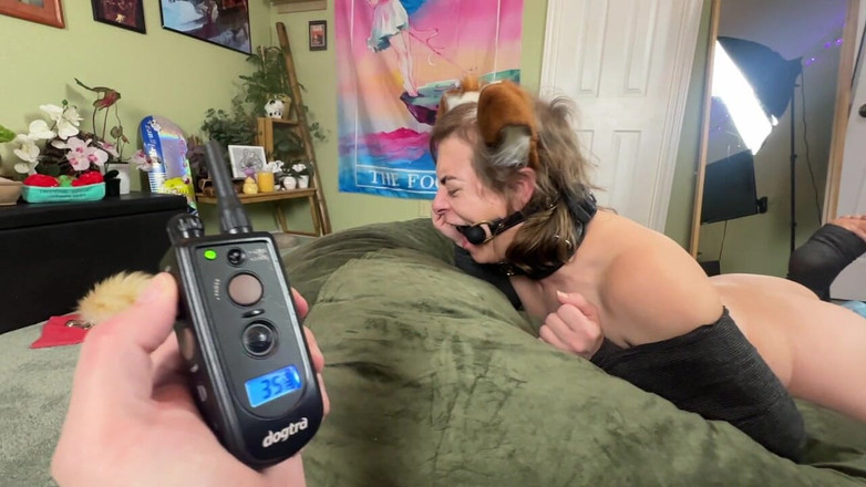 Linzy19: セックス、機械化されたスラットパップが激しく突かれながら泣く