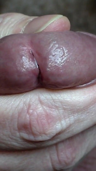 Super close-up de glans edging e penetração de xixi