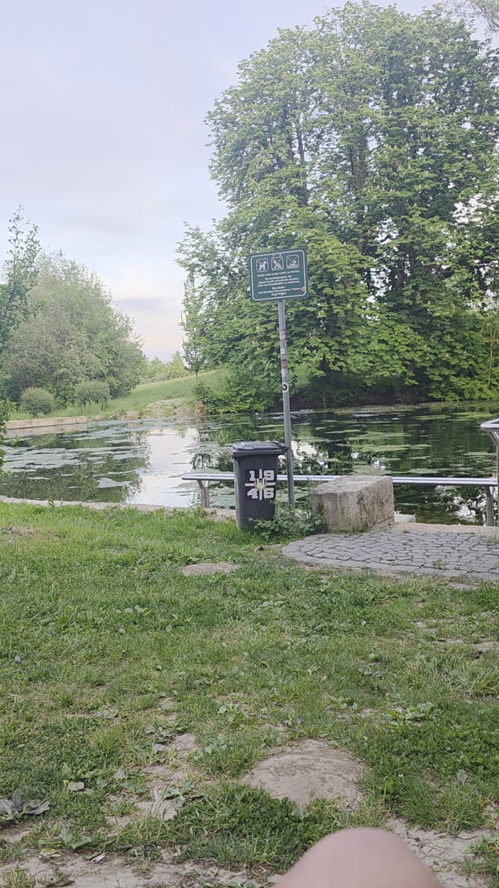 m's Bossy: Une interdiction de maison suce un inconnu dans la nature