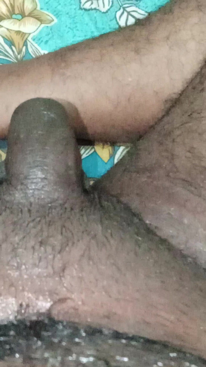 Bobby Rock: 火辣鸡巴和撒尿