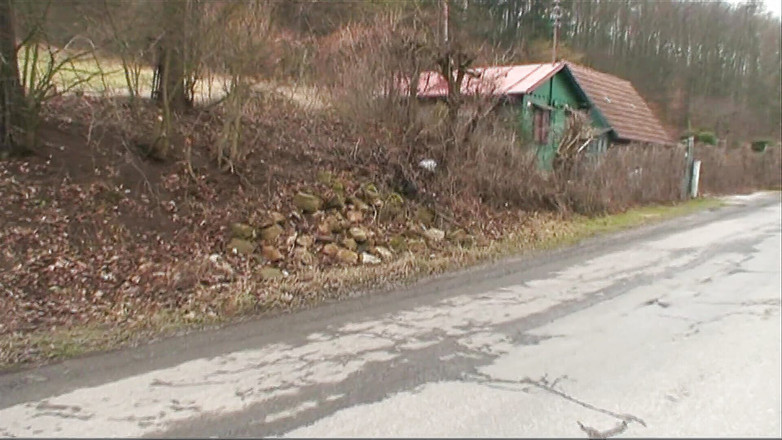 Alfacontent World: Sexy garota de cabelos escuros é pega e fodida na floresta