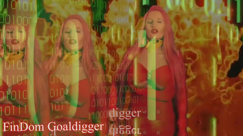 FinDom Goaldigger: Dumb slut transformation