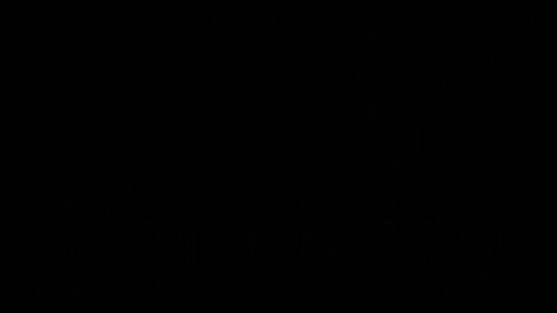 ElementX1018: 2901589826.mp4