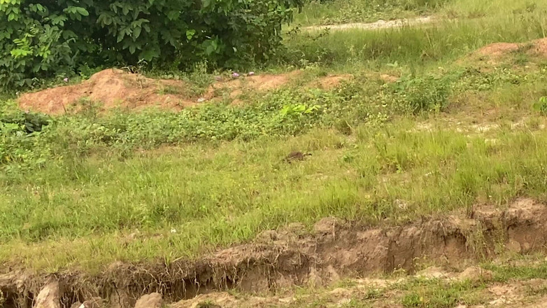 Switcock: 彼女は欲しいものを手に入れた 熱いセックス