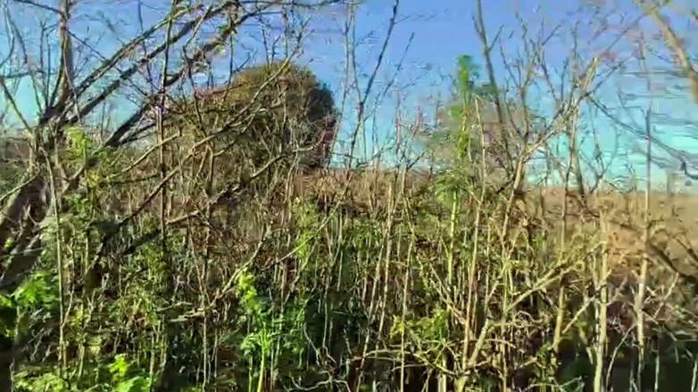 mamiimaldii: Goth-puppe Mitten in Der Natur, Die Draußen Schwanz BJ Lutscht