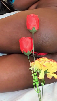 I Received a Rose on Valentine's Day
