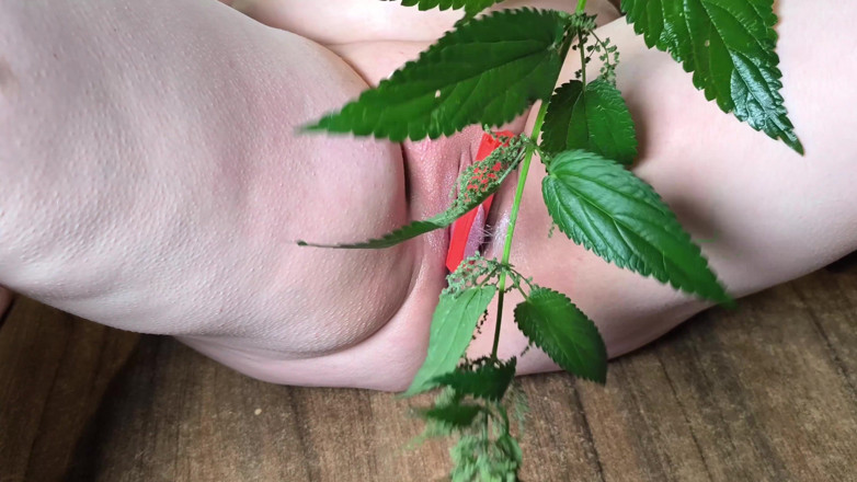 Bouncy Tits Action: Labia with Nettles... - Wide Spread Legs
