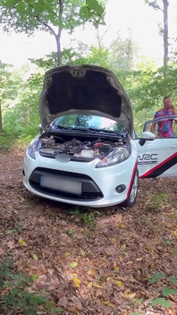 Car Trouble, Forest Temptation - Sandra Sugar & Mugur