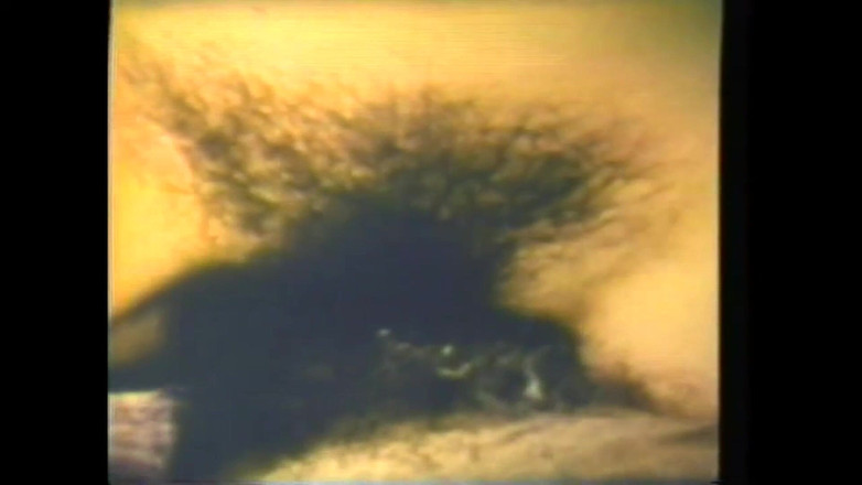 The Unforgettable: Şehvetli Yatak