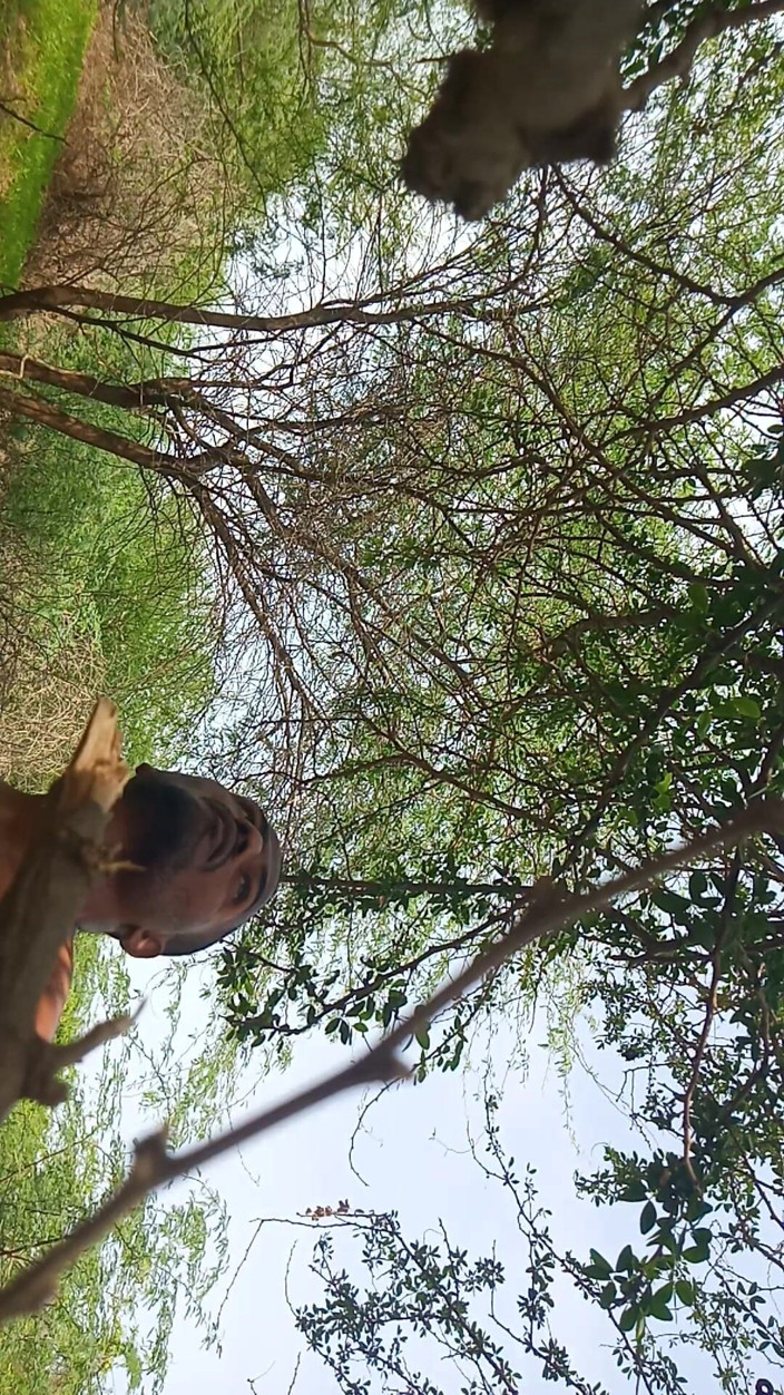 KUMBHA MANOJ KUMAR: Merindui kawan cantik saya – urutan hutan cinta di hutan