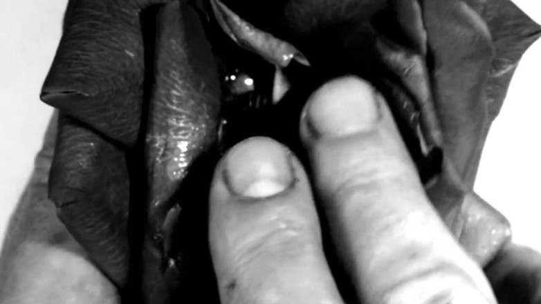 Kane Santiago: Fetiș cu mâini - Mâinile mele distrugând flori și fructe