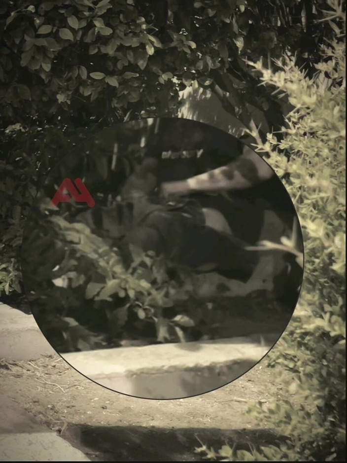 AmateurMates: Amateur Boy Sucks a Guy He Found Jerking-off in the...