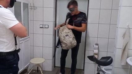Master Dansan: L'ispezione del ragazzo